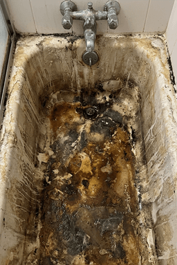 Before image